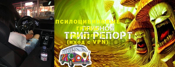 прущий лед Козельск