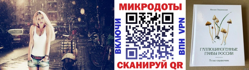 Купить где  Магас  Галлюциногенные грибы Psilocybine cubensis 